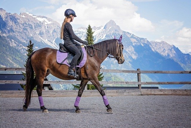 préparer randonnées cheval